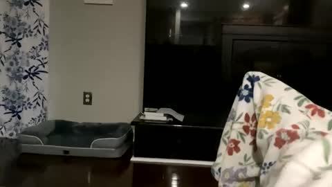 Snapshot of dannyboy621 chatting on October 2025 11:24:01 AM dannyboy621 online show from October 2025 11:24:01 AM