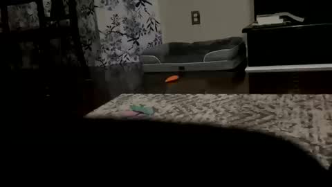 Snapshot of dannyboy621 chatting on October 2025 09:43:01 AM dannyboy621 online show from October 2025 09:43:01 AM