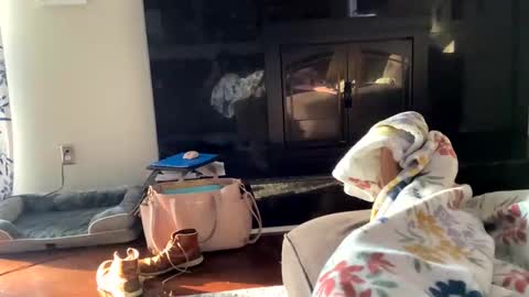 Snapshot of dannyboy621 chatting on November 2025 01:24:01 PM dannyboy621 online show from November 2025 01:24:01 PM