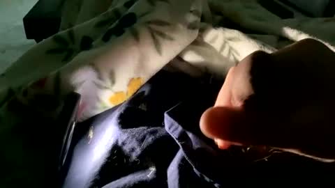 Snapshot of dannyboy621 chatting on November 2025 01:53:02 PM dannyboy621 online show from November 2025 01:53:02 PM