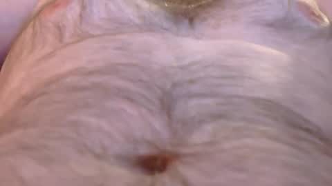 Master Dan online show from March 2026 08:09:01 AM