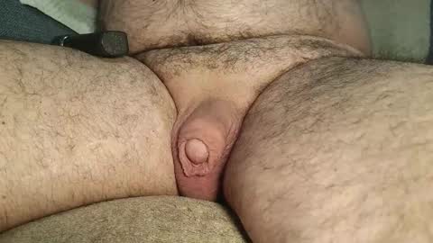 dapppper online show from January 2025 12:05:02 PM