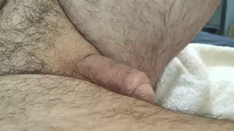 dapppper online show from September 2025 03:11:01 PM