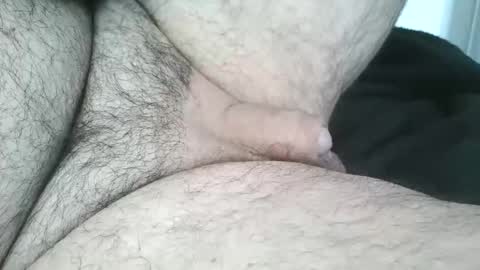 dapppper online show from April 2026 11:25:01 AM