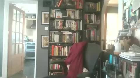 Darcy online show from March 2026 03:17:01 PM