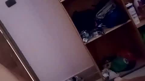 dario1127 online show from October 2025 01:33:02 PM