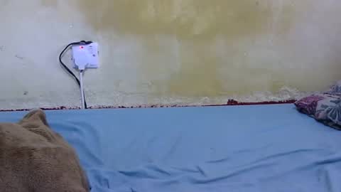 dark_princess1 online show from February 2026 09:05:01 AM