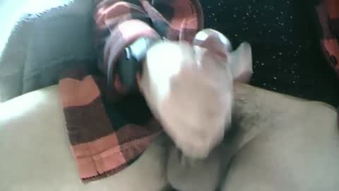 Snapshot of dartrok chatting on February 2025 12:59:01 PM Dartrok online show from February 2025 12:59:01 PM