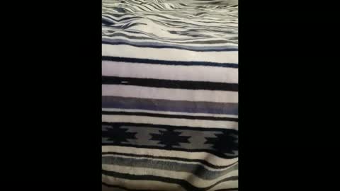 Snapshot of dat_guy8806 chatting on January 2026 11:52:02 PM dat_guy8806 online show from January 2026 11:52:02 PM