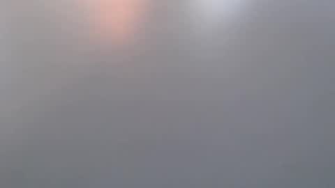 davdao3 online show from March 2026 07:01:01 AM