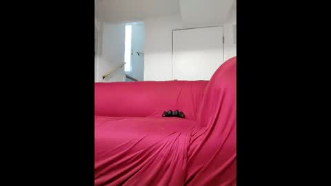 dave3891 online show from February 2026 01:18:02 PM