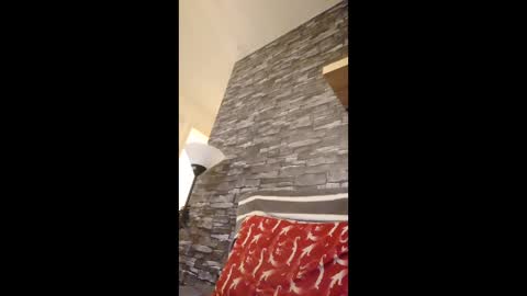 dave72303991 online show from February 2026 04:40:01 PM