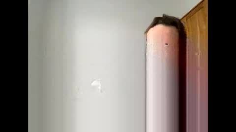 davepil29 online show from December 2025 10:44:02 AM