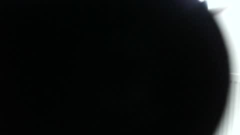 daveyd122 online show from July 2026 10:21:02 AM