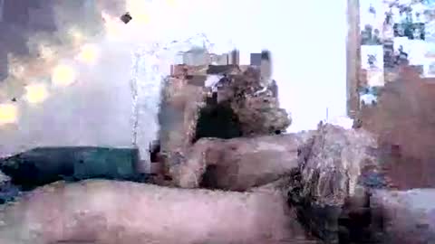 Snapshot of david69992347976413 chatting on February 2025 02:10:02 PM David Berry online show from February 2025 02:10:02 PM