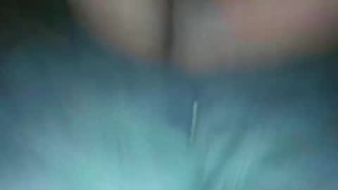 Davey Moor online show from May 2026 08:43:02 AM
