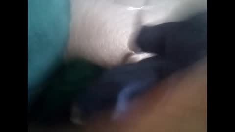 davidf75 online show from November 2025 09:54:02 AM