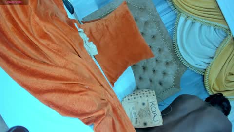 Snapshot of day_alexa chatting on December 2024 11:35:02 PM Day Alexa online show from December 2024 11:35:02 PM