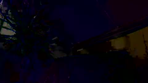 dayblue online show from March 2026 09:33:02 AM