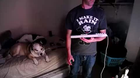 dbfroge online show from March 2026 10:00:01 AM