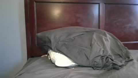 dbm1620 online show from November 2025 08:33:02 PM