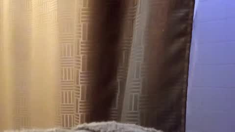 Snapshot of dbossxtina chatting on November 2025 08:48:02 AM dbossxtina online show from November 2025 08:48:02 AM