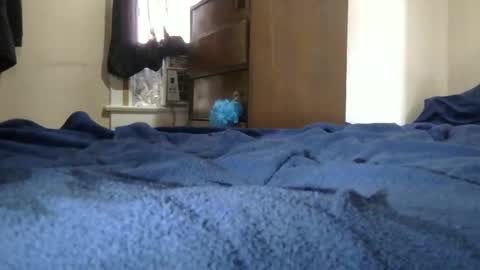 Dcdrew3 online show from December 2024 05:00:01 PM