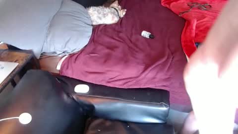 DCTeamFucker online show from April 2026 05:49:01 PM