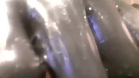 ddick0303 online show from November 2025 04:00:01 AM