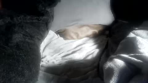 ddick0303 online show from April 2026 05:40:01 PM