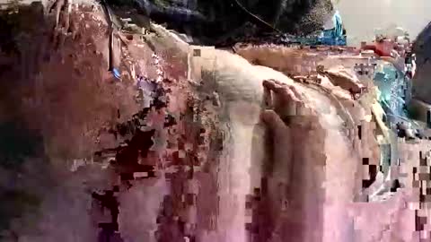 decoyx5o5 online show from January 2025 01:18:02 AM