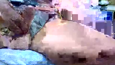 Snapshot of deepdiver3366 chatting on January 2026 12:14:02 AM Dive Deep online show from January 2026 12:14:02 AM