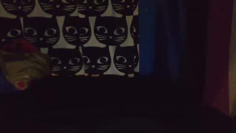 CozyClementine online show from April 2026 08:09:02 AM