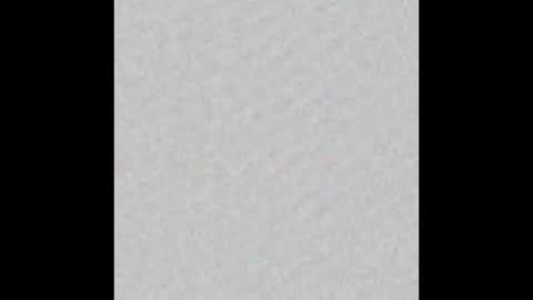 Ducky online show from October 2025 05:13:01 PM