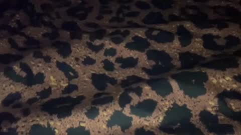 Snapshot of derek829099 chatting on September 2025 06:57:02 AM derek829099 online show from September 2025 06:57:02 AM