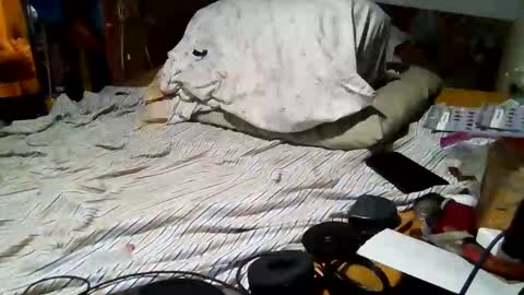 derick1961 online show from March 2026 06:52:01 AM