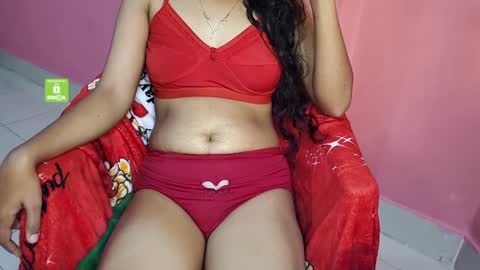 Snapshot of desicoupleshow chatting on December 2024 09:13:01 AM Eva and Adam online show from December 2024 09:13:01 AM