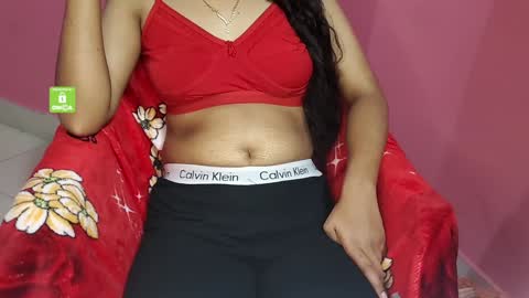 Snapshot of desicoupleshow chatting on December 2024 01:30:02 PM Eva and Adam online show from December 2024 01:30:02 PM