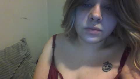 devykitten online show from December 2025 12:33:02 PM