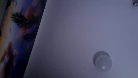 Snapshot of dgesika254182 chatting on January 2025 09:50:02 PM dgesika254182 online show from January 2025 09:50:02 PM