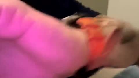 dgoodwin477 online show from January 2026 08:08:02 AM