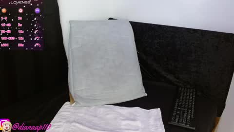 Snapshot of diana_p chatting on February 2025 10:09:02 PM Diana online show from February 2025 10:09:02 PM