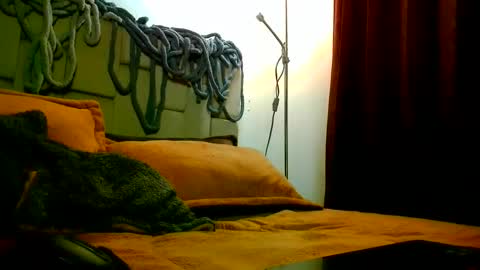 Snapshot of dickdamian_ chatting on February 2025 07:33:02 AM Damin online show from February 2025 07:33:02 AM