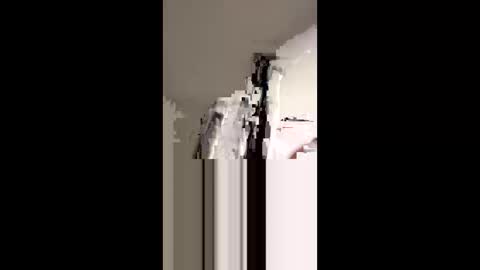 Snapshot of dickdiesel1989 chatting on November 2025 01:08:01 AM dickdiesel1989 online show from November 2025 01:08:01 AM