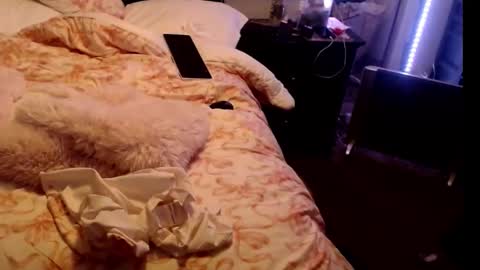 Snapshot of dickgiggler chatting on February 2026 09:07:02 AM Sparkx online show from February 2026 09:07:02 AM