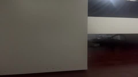 dickmanthe1 online show from January 2026 06:57:02 PM