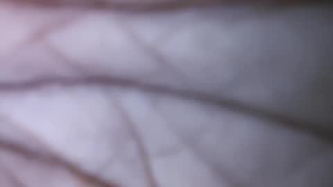 Snapshot of dicks_balls chatting on December 2024 07:47:01 PM Dick balls online show from December 2024 07:47:01 PM