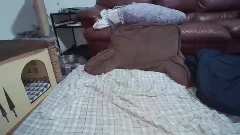 dickslayerdan online show from November 2025 12:31:01 AM