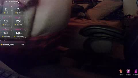 Snapshot of dicksmith99 chatting on February 2025 05:31:02 AM Steve online show from February 2025 05:31:02 AM