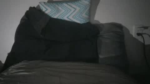 Snapshot of dicktracey007 chatting on January 2025 05:26:02 AM dicktracey007 online show from January 2025 05:26:02 AM